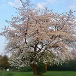 Nyaraló Cohco'art *