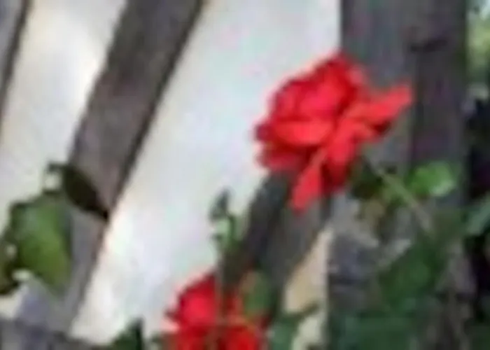 Cohco'art Holiday home *