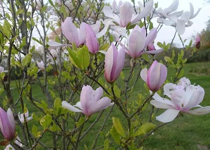 Cohco'art * Fatouville-Grestain