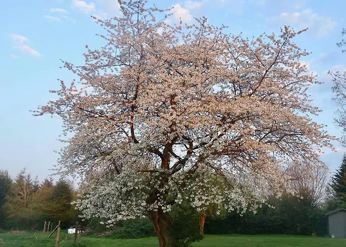 Holiday home Cohco'art *